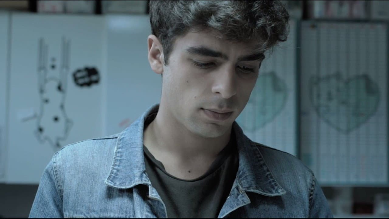 Lluís Febrer