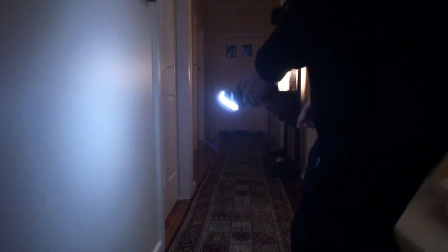 Messi (cat)