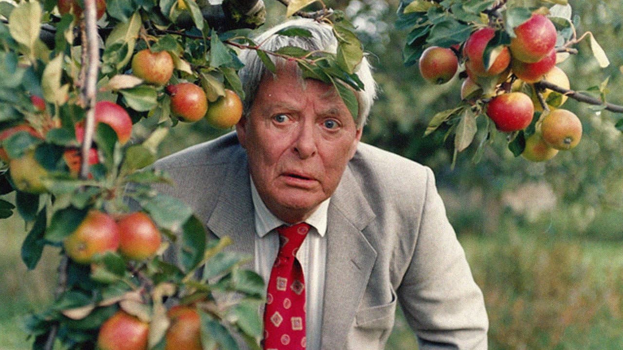 Maj Lindström