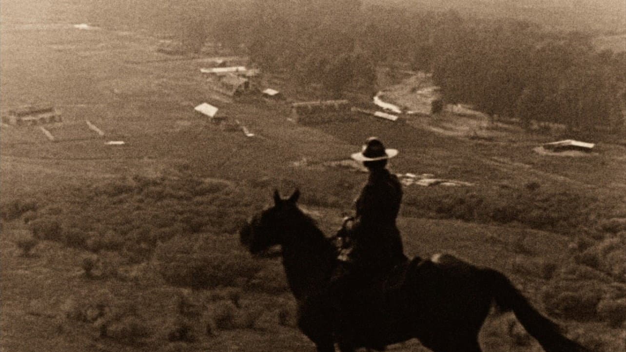 Tex Young