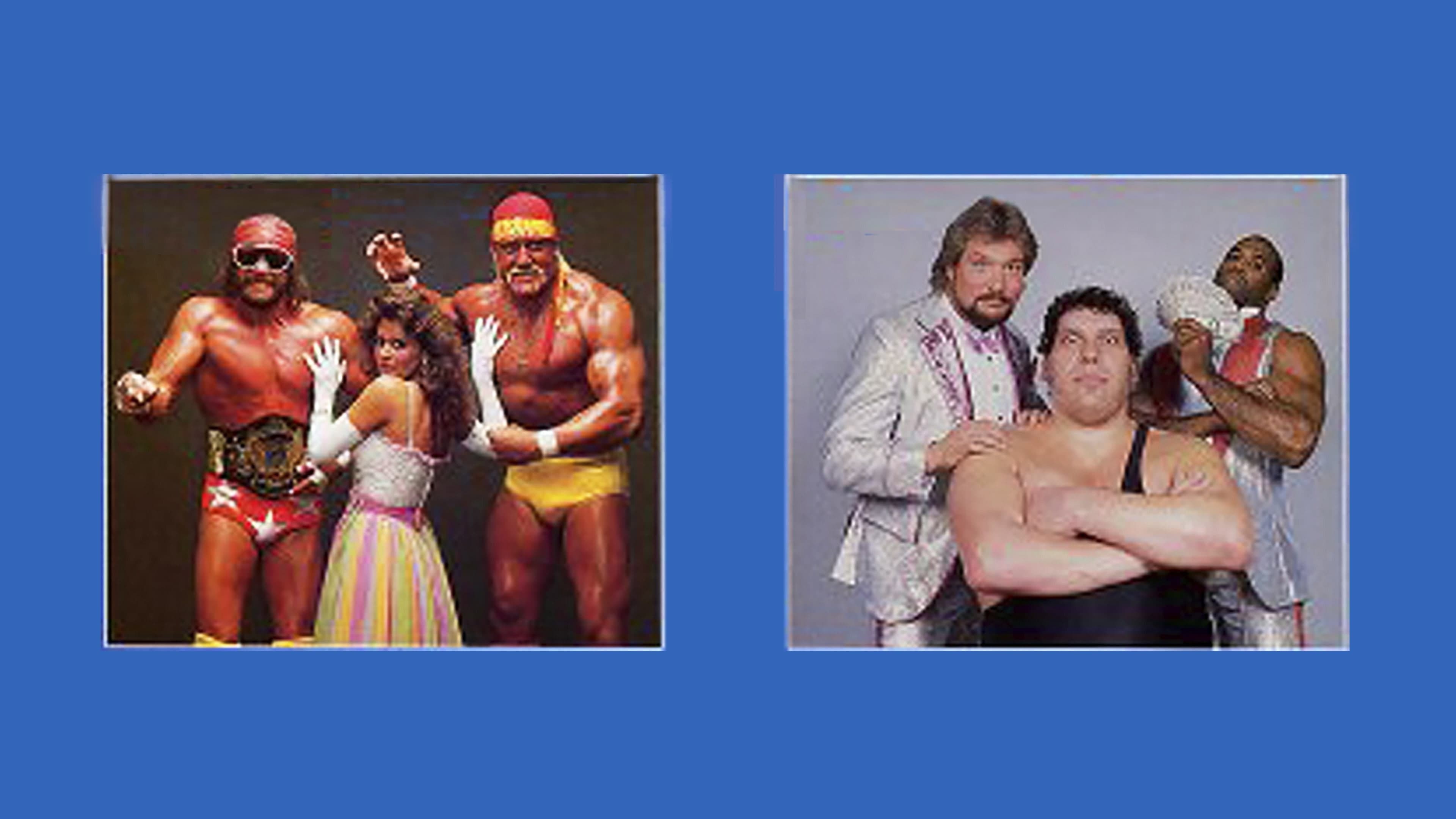WWE SummerSlam 1988