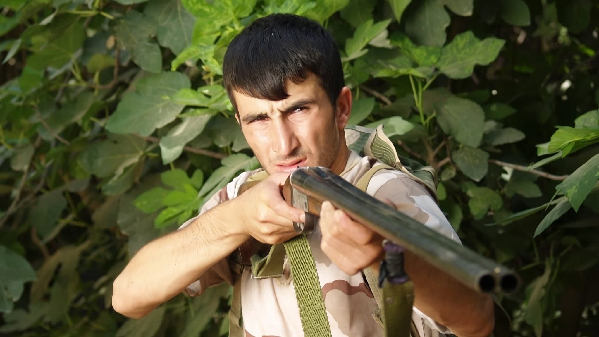 Farzad Hassani