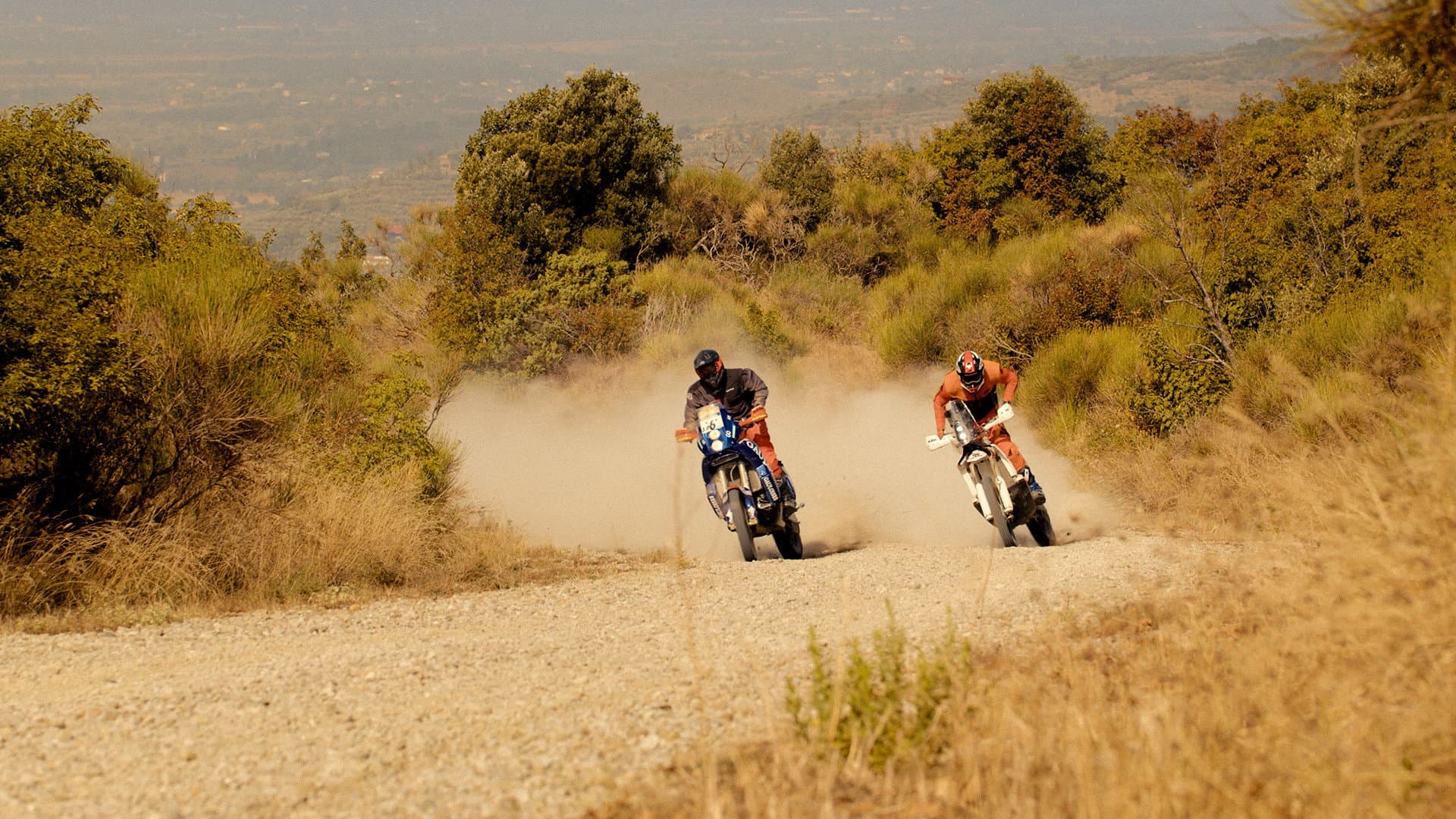 Franco Acerbis