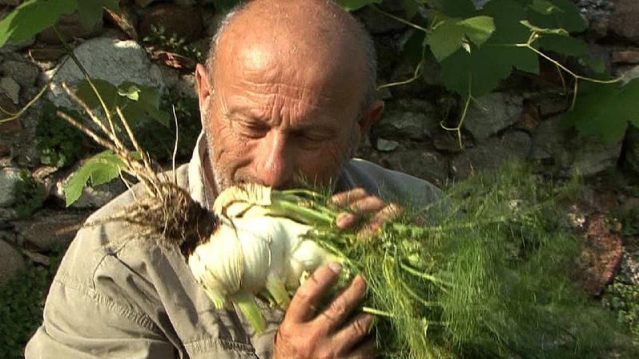 Ampelio Bucci