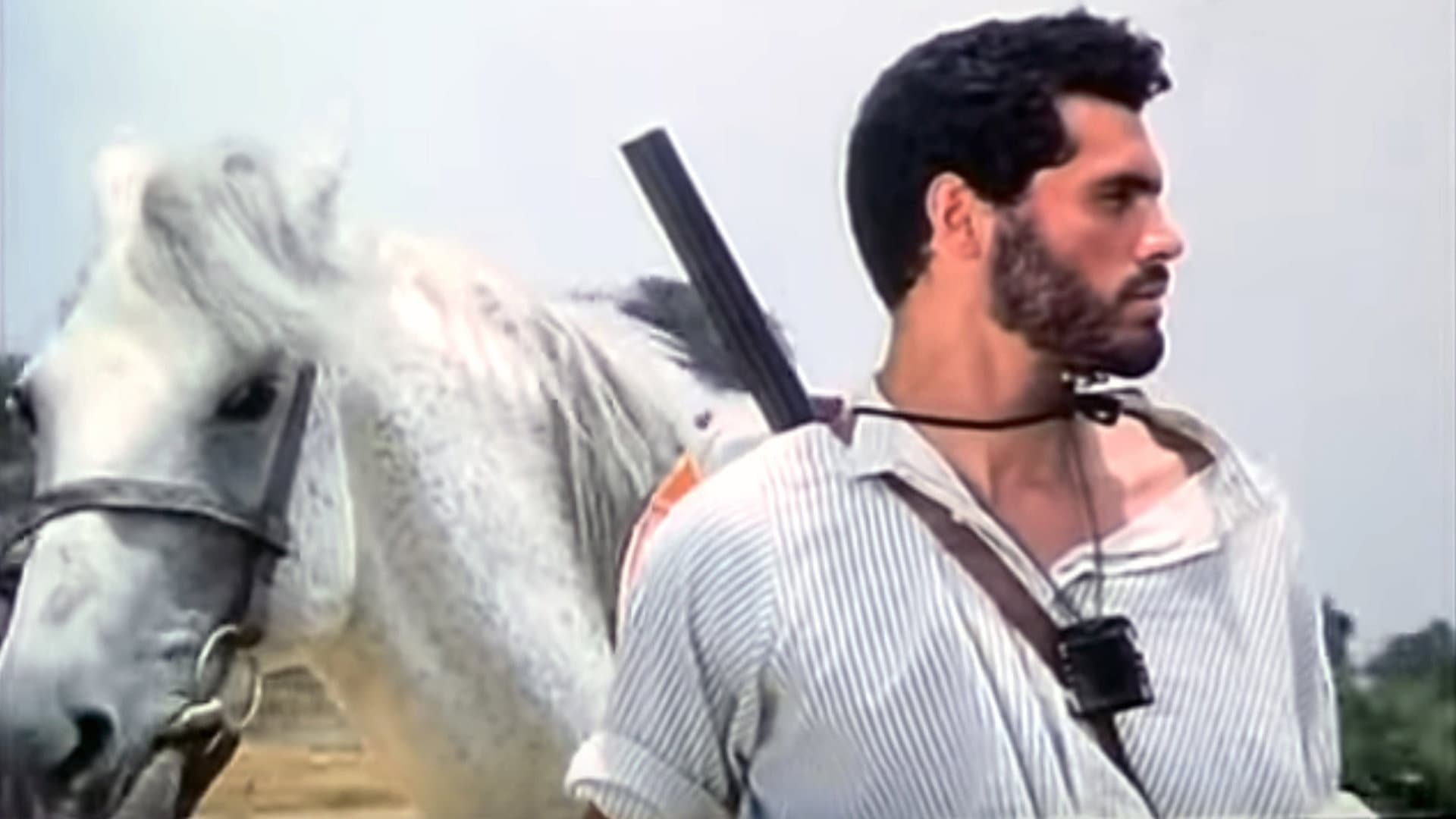 Noureddine Souli