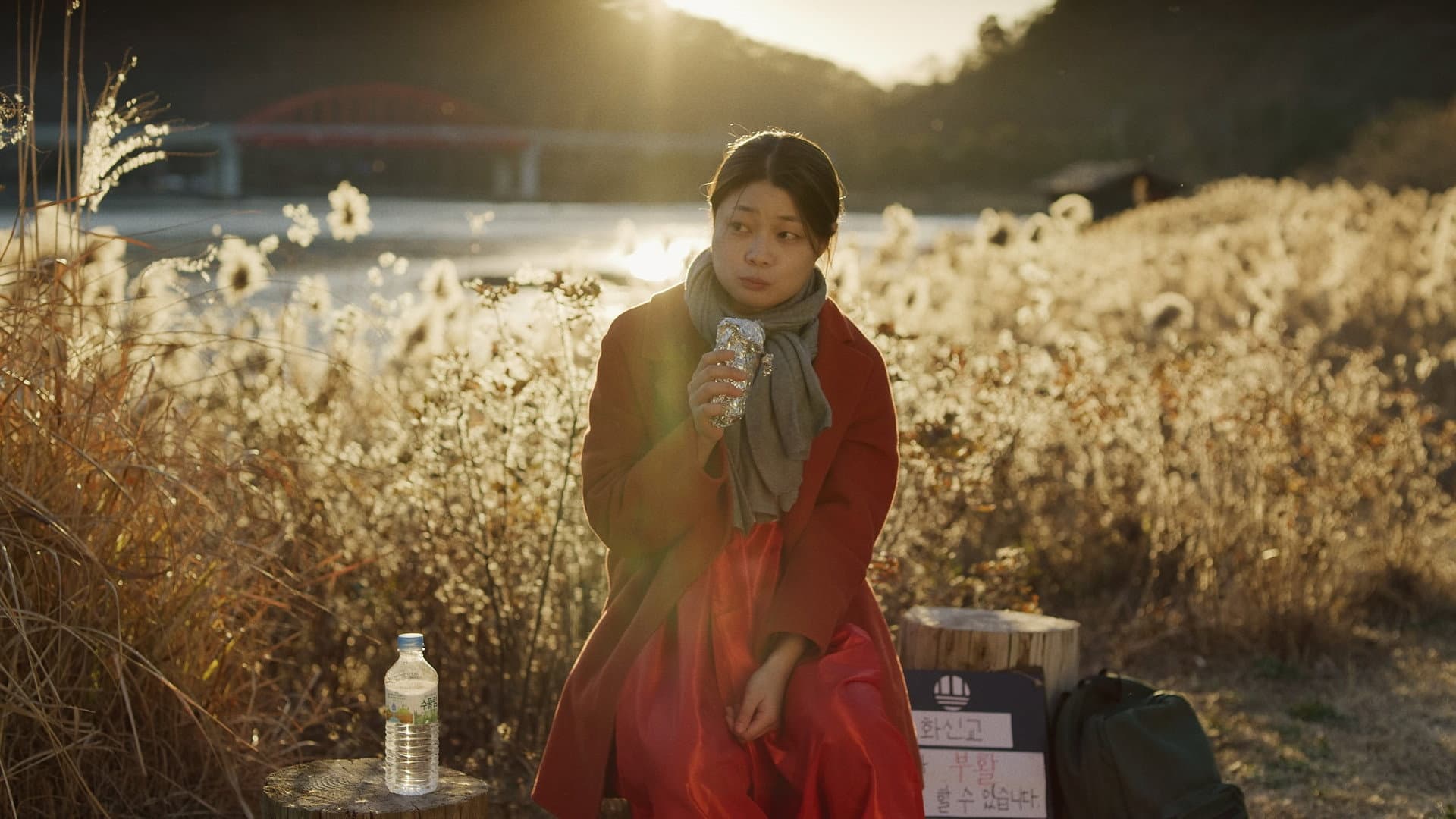 Lee Hae-in