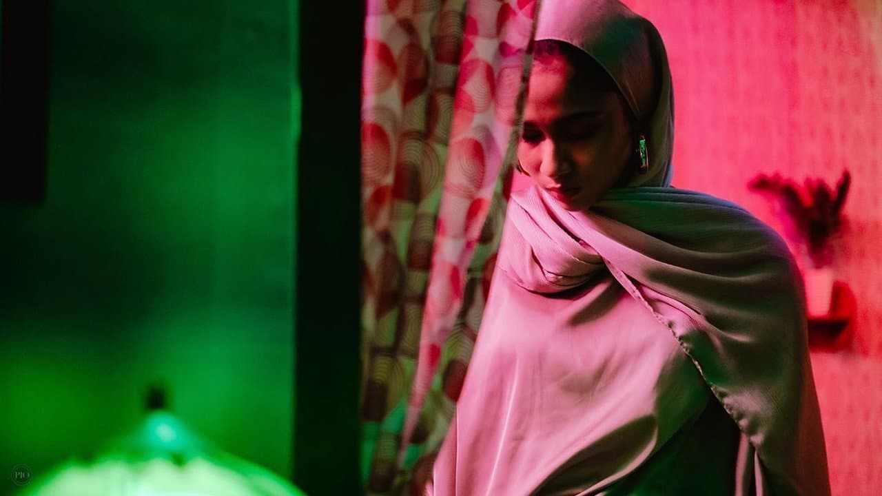 Ibnu Shohib