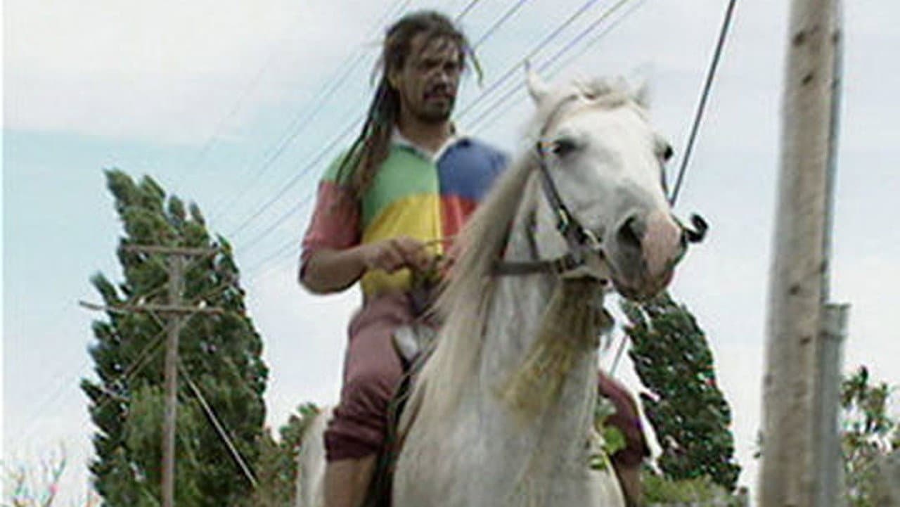 Te Kupu