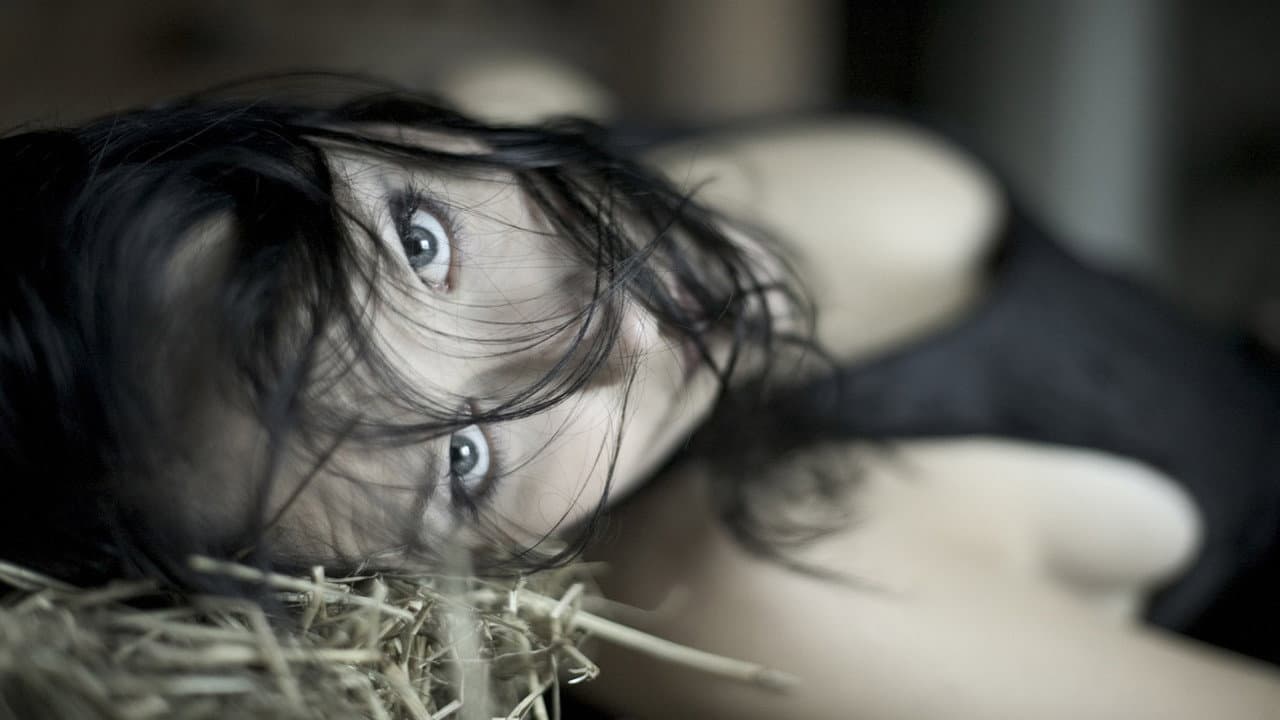 Vibeke Stene