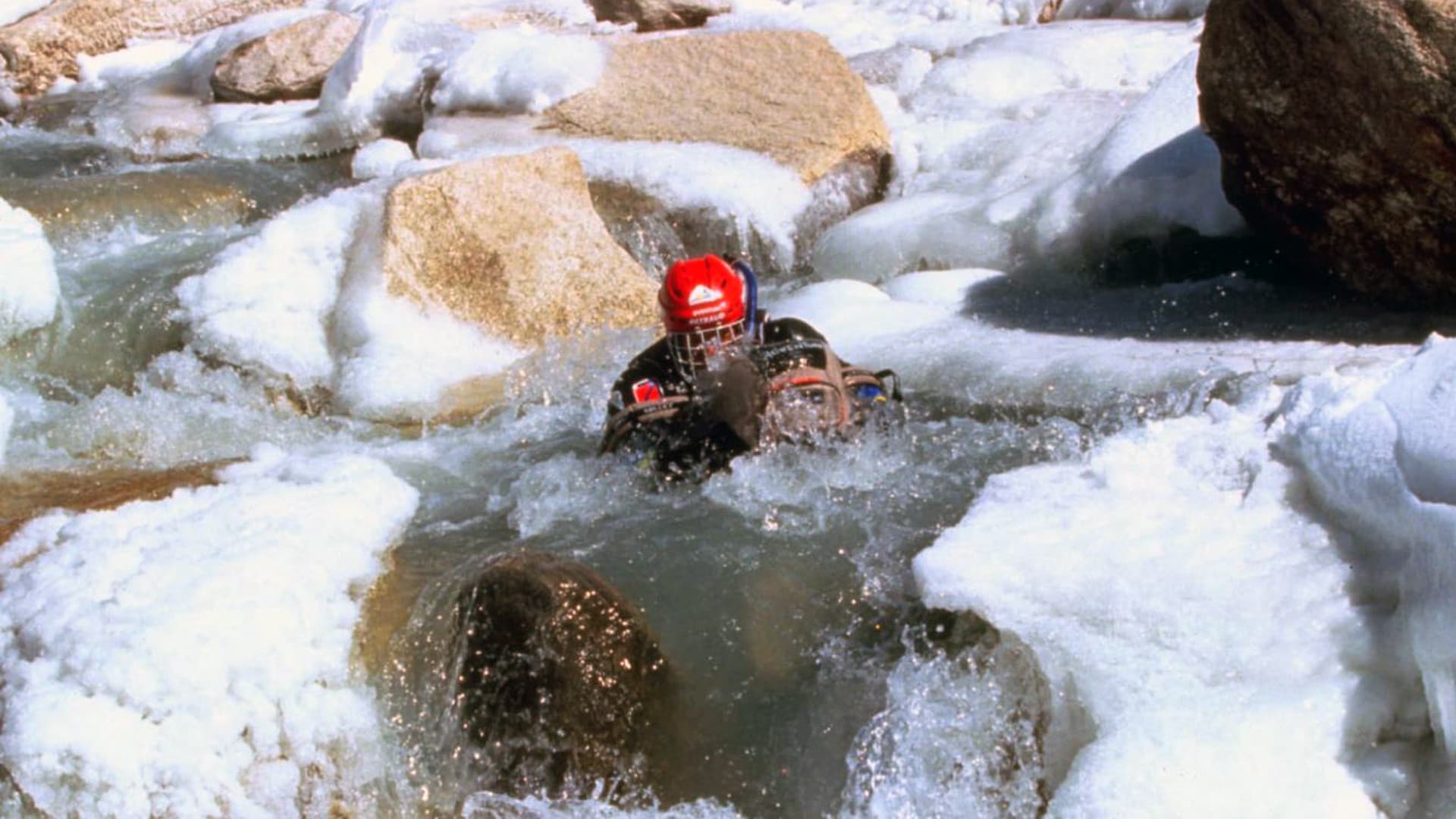 Le Nageur du Gange