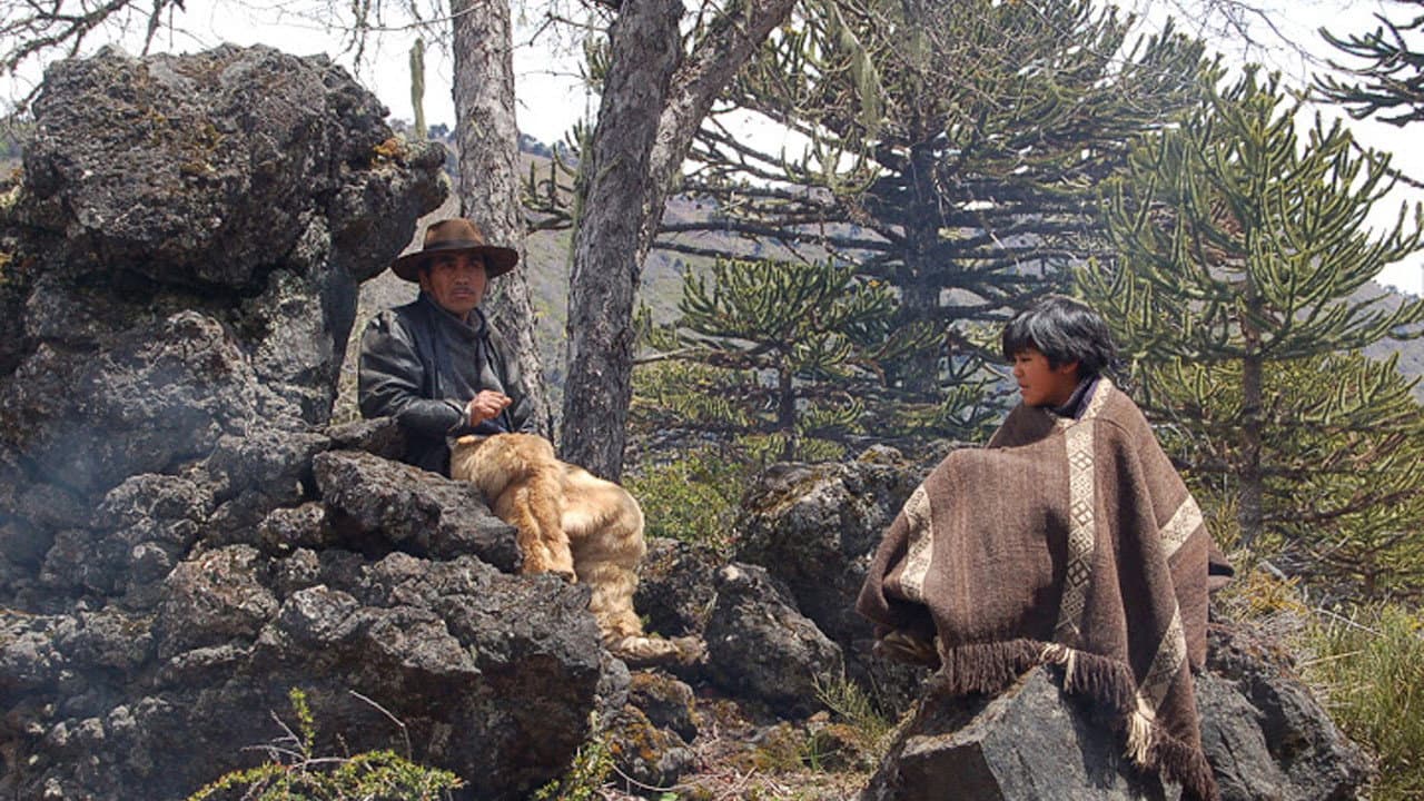 Juan Purran