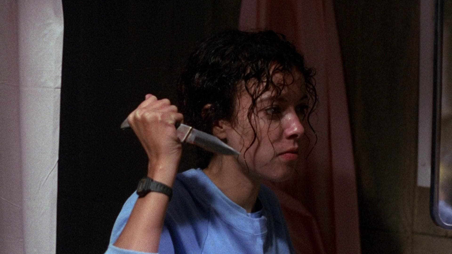 Pamela Springsteen