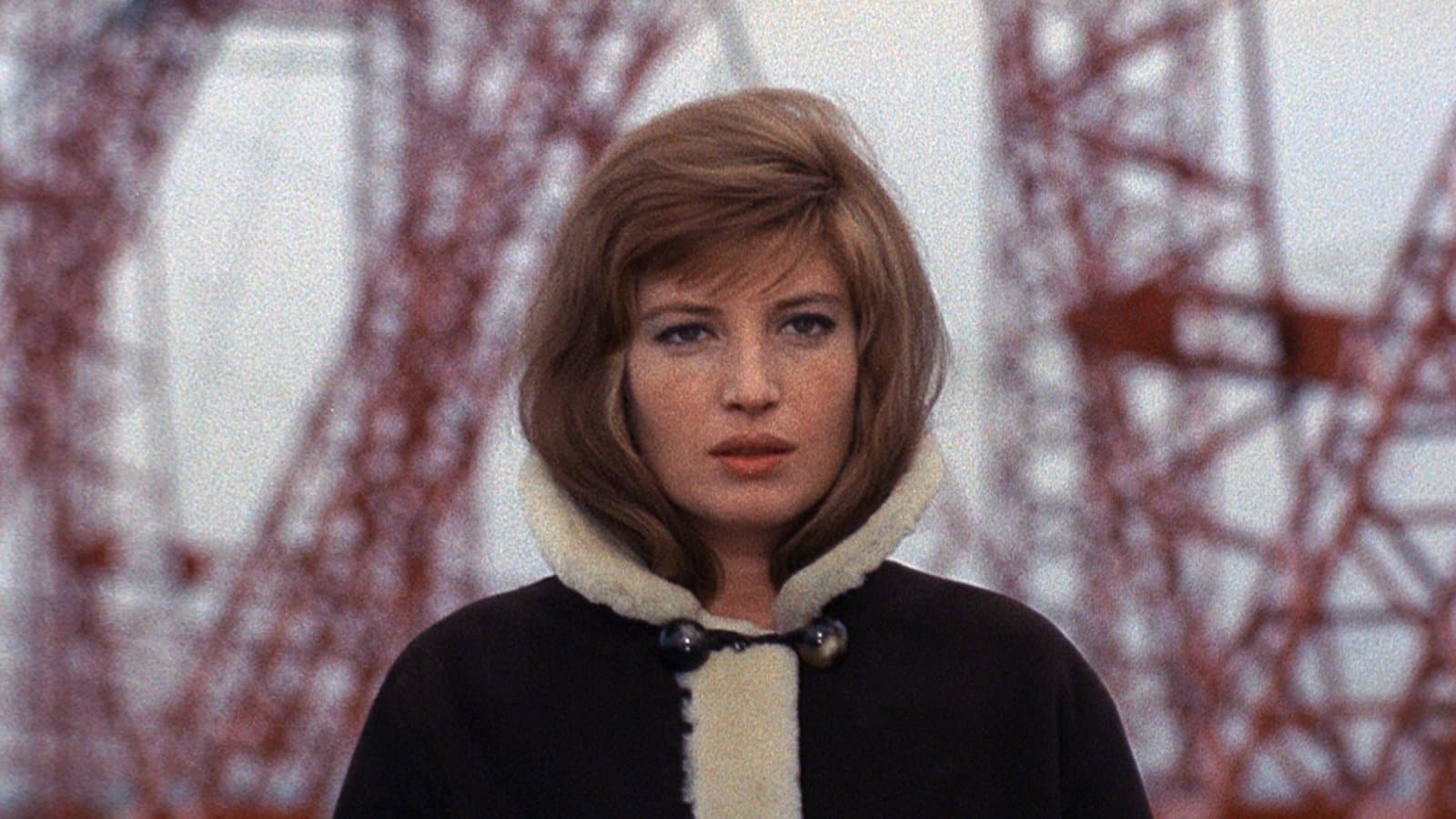 Rita Renoir