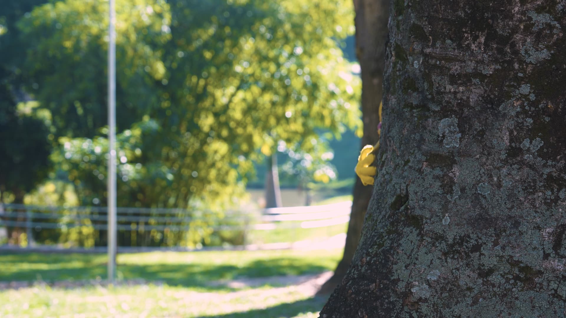 Zeca Oliveira
