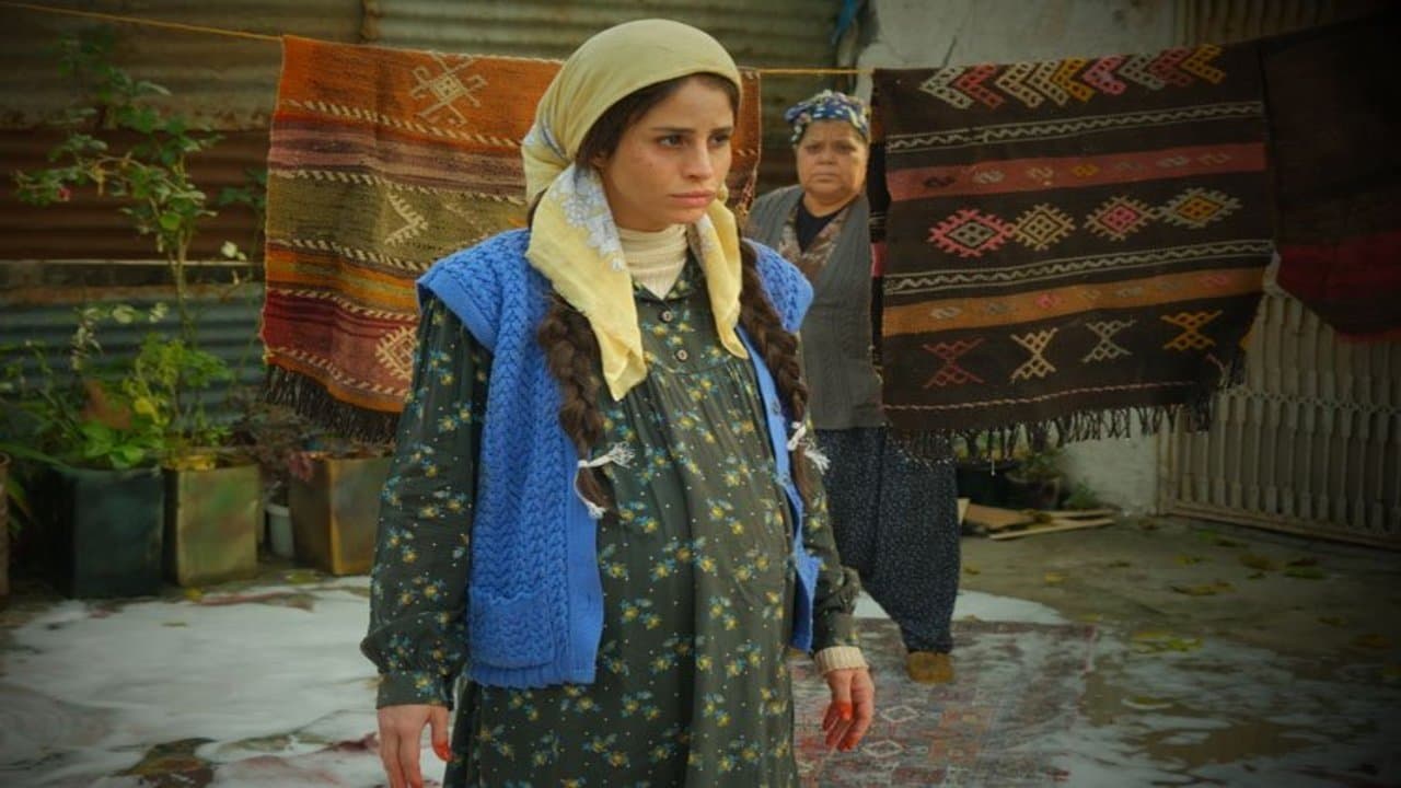 Deniz Hamzaoğlu