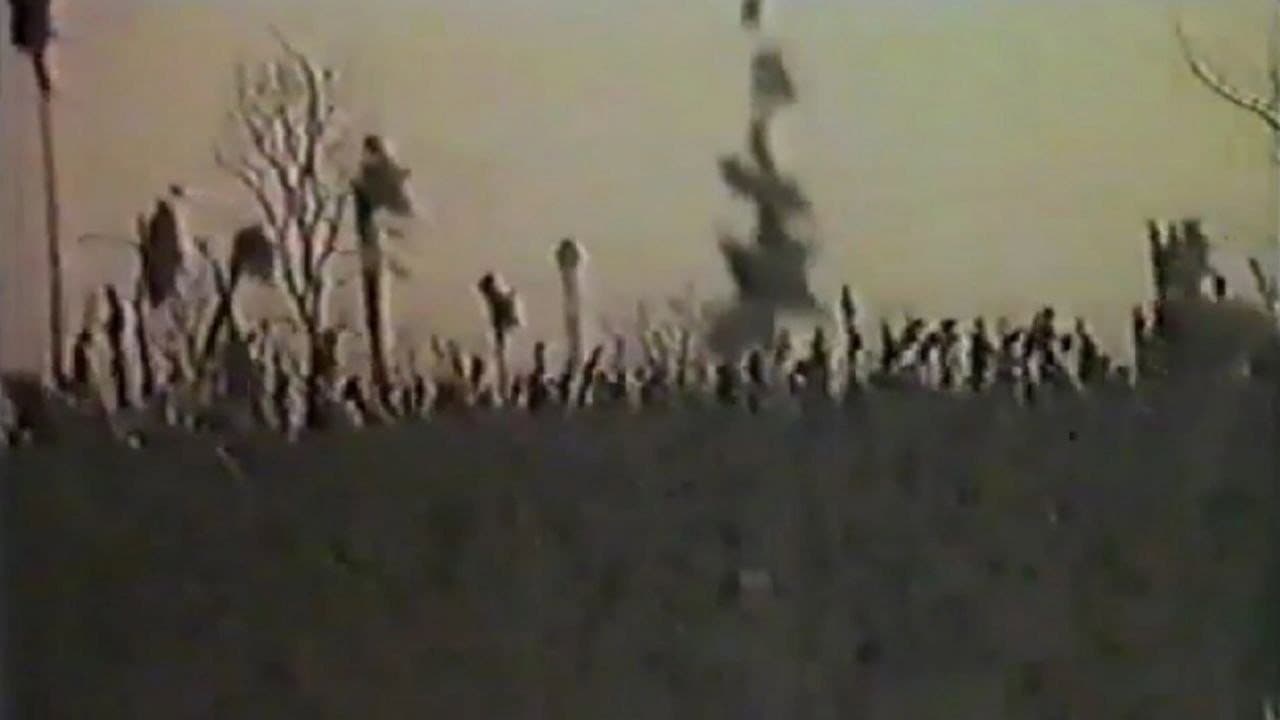 Angel of the Harvest