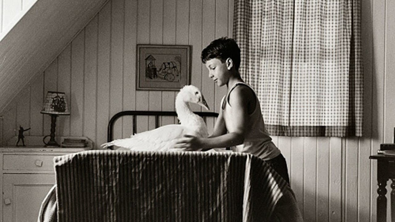 Peter Smith