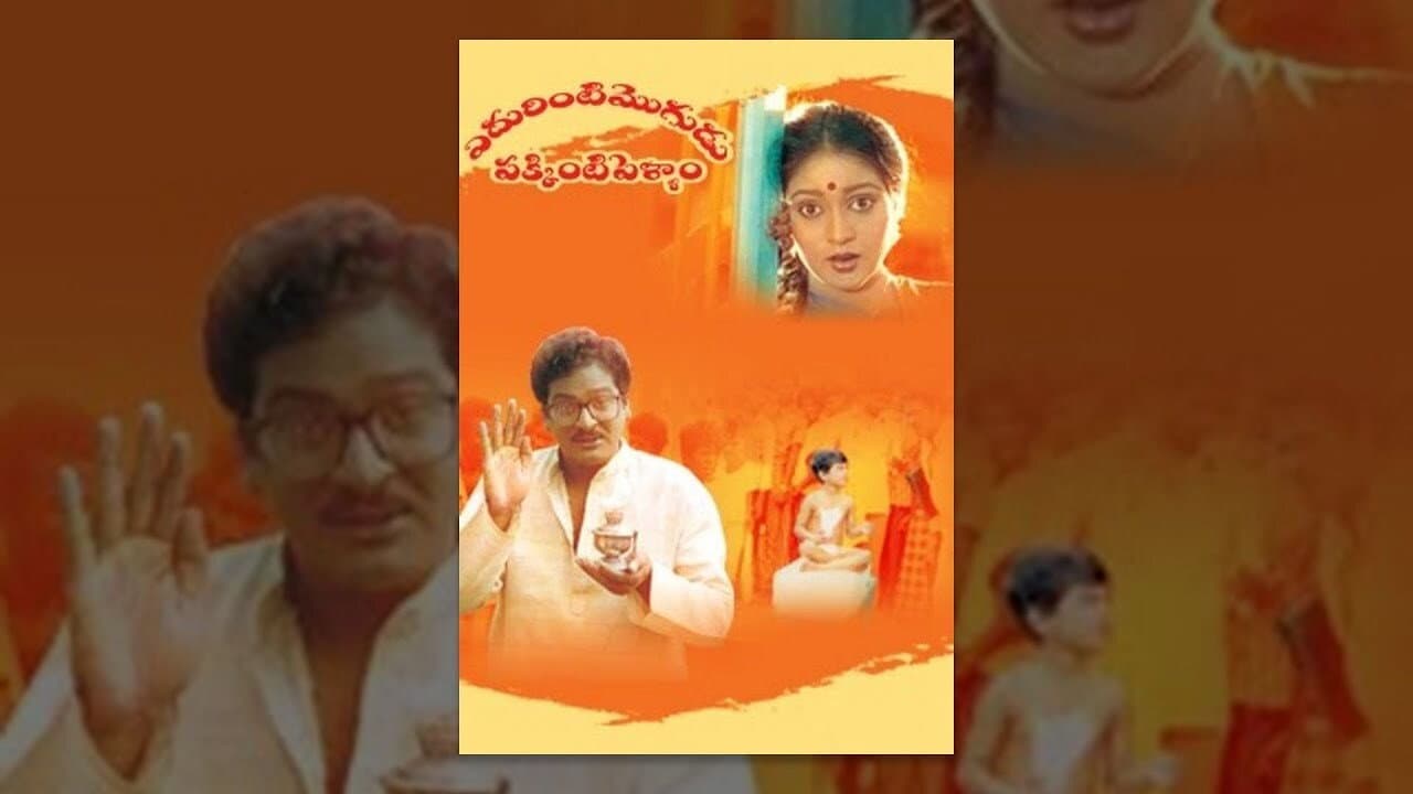 Divyavani