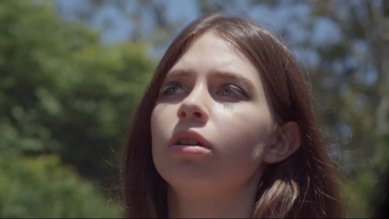 Piper de Palma
