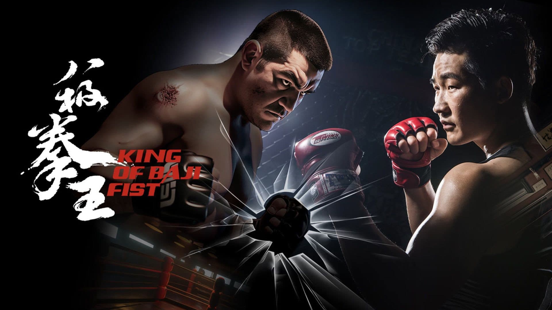 Wang Daqi