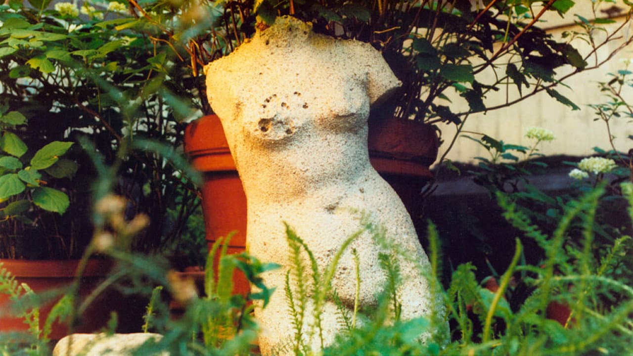 Su Friedrich