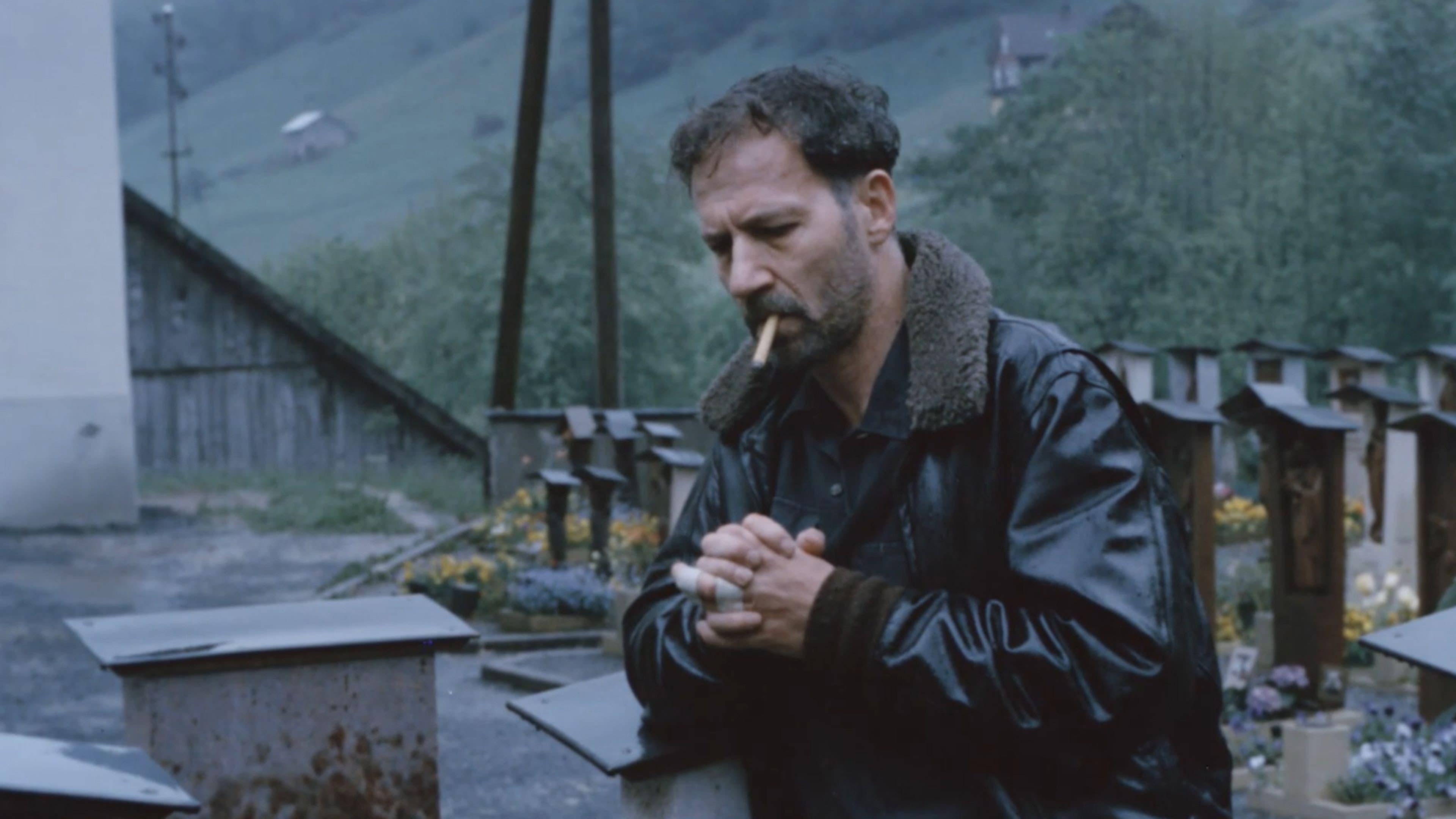 Daniela Tallarico