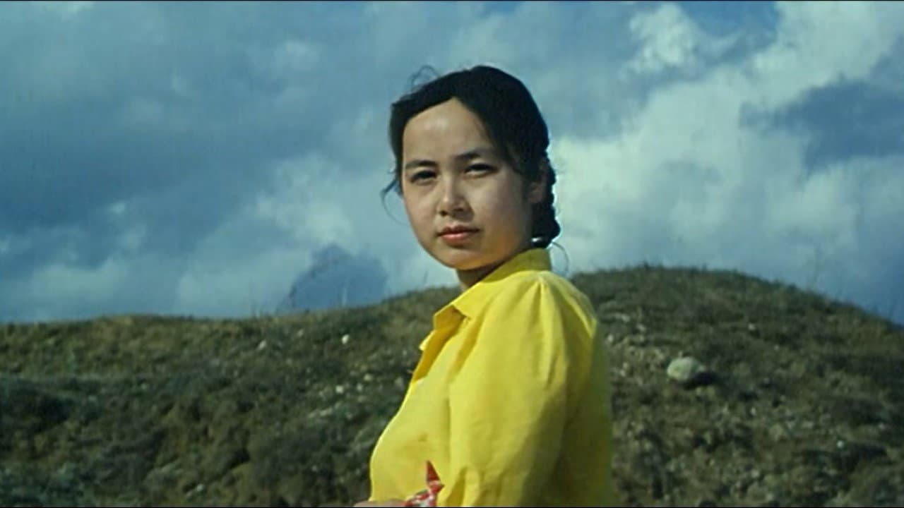 Tian Shaojun