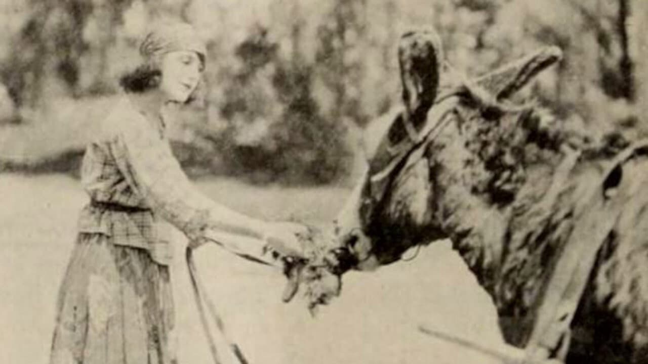 Marie Van Tassell