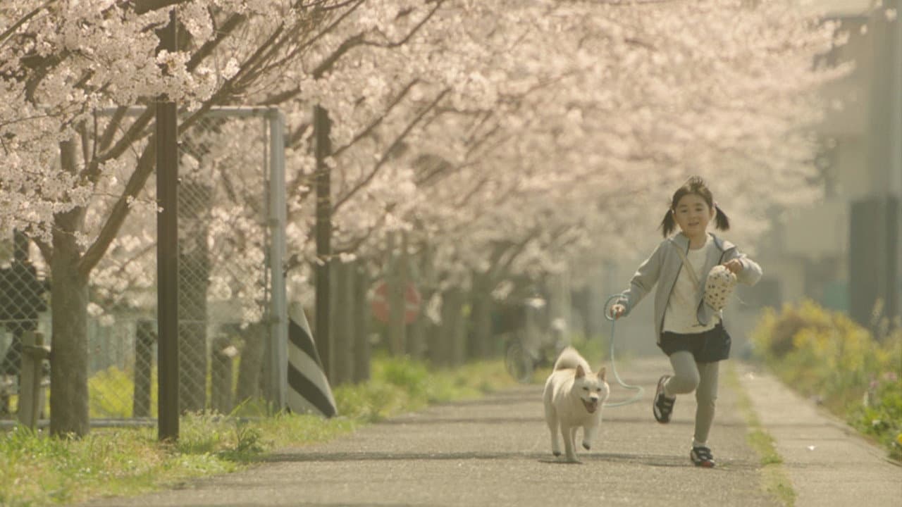 Kasumi Arimura