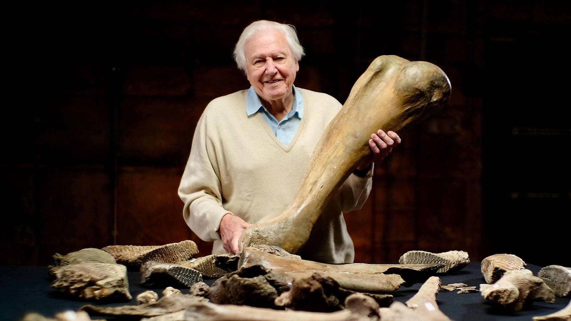 Professor Ben Garrod