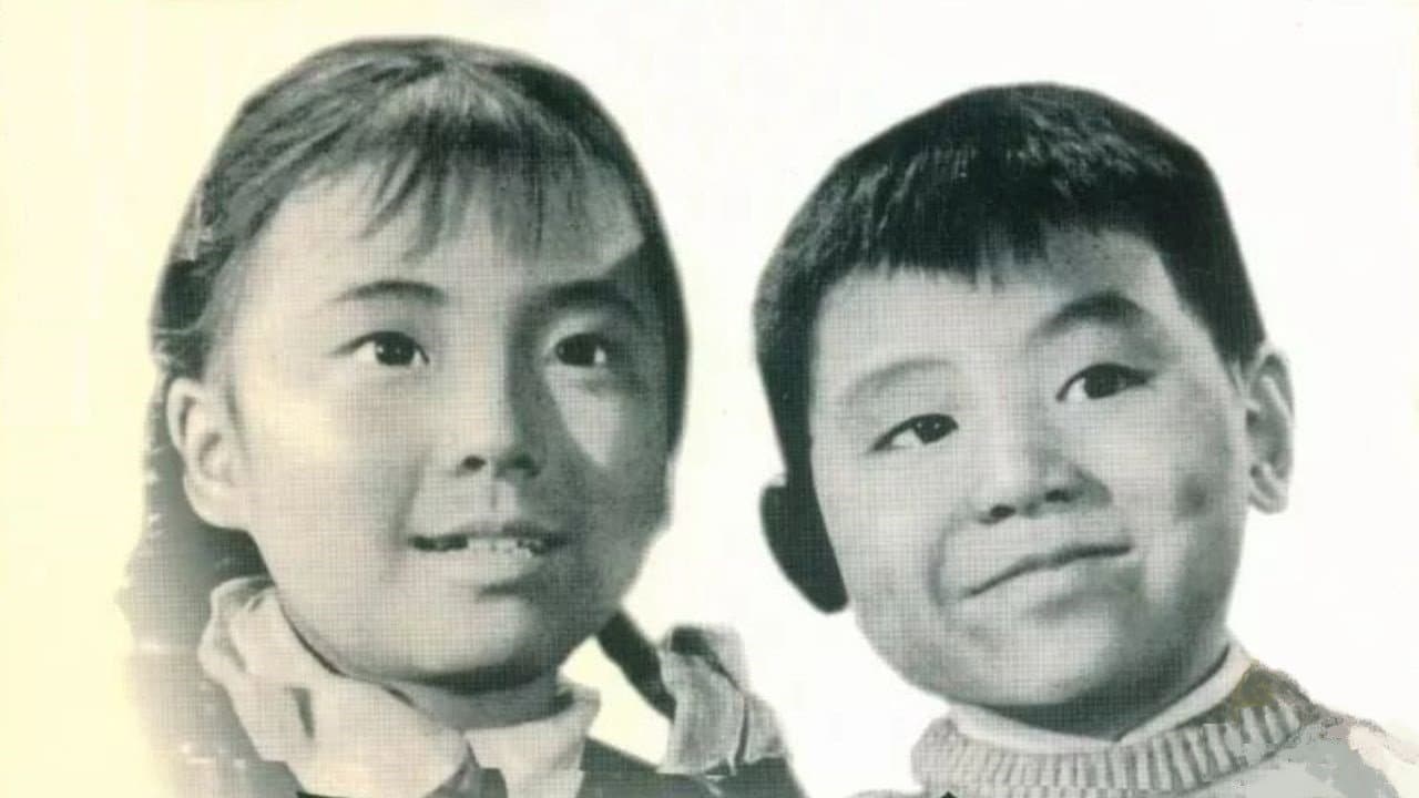 Haixi He