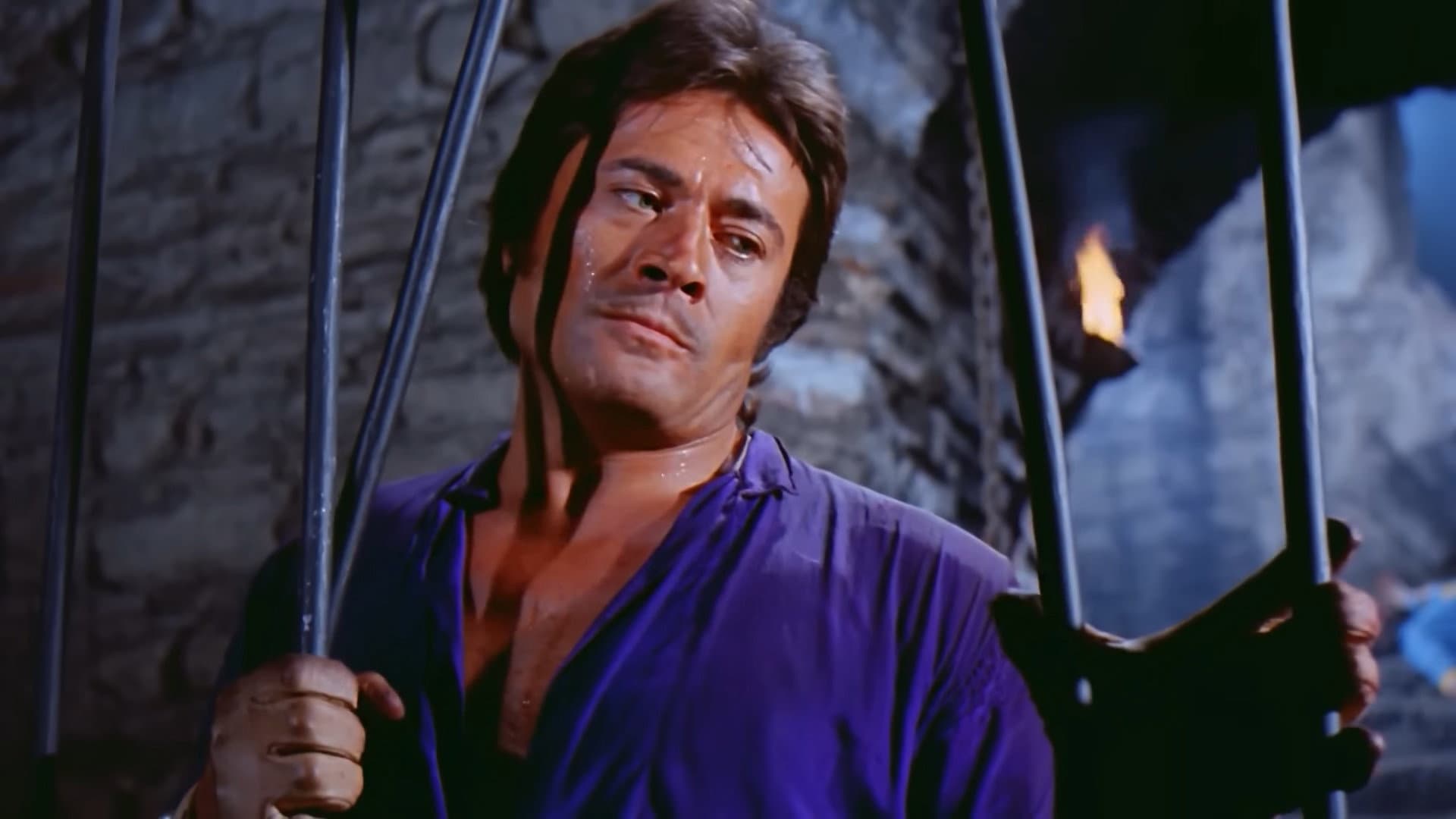 Baki Tamer