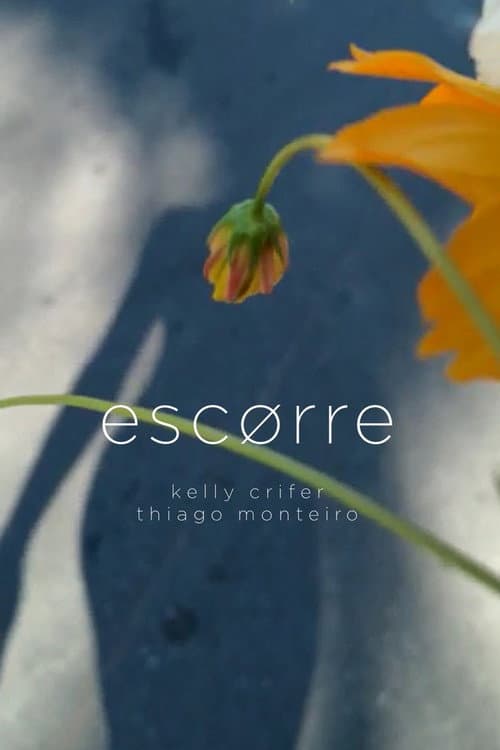 Escorre