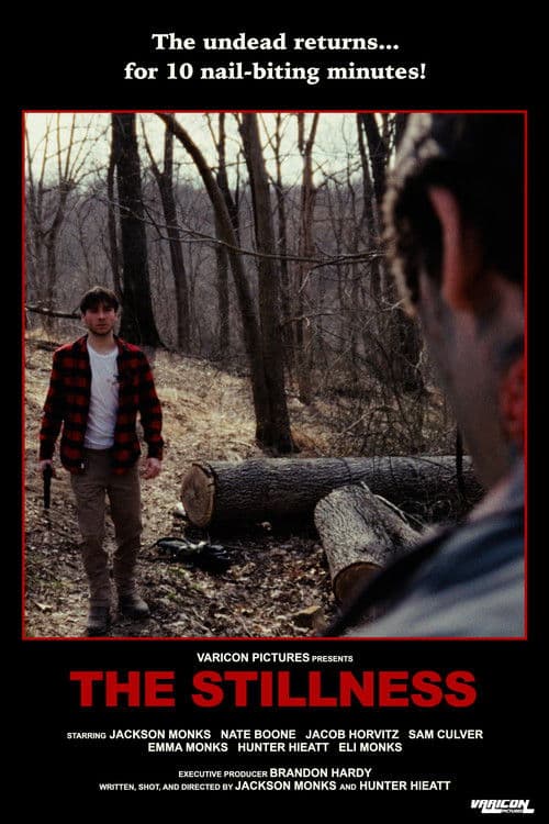 The Stillness