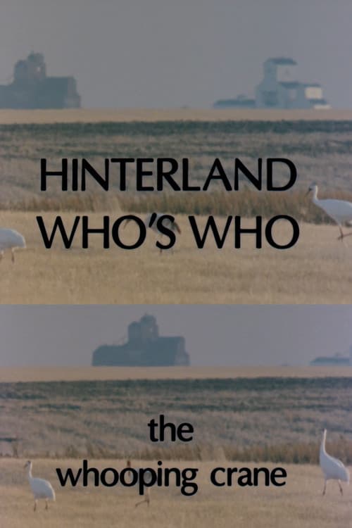 Hinterland Who's Who: Whooping Crane