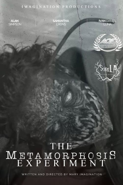 The Metamorphosis Experiment