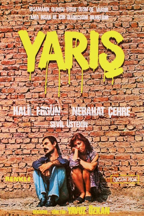 Yarış
