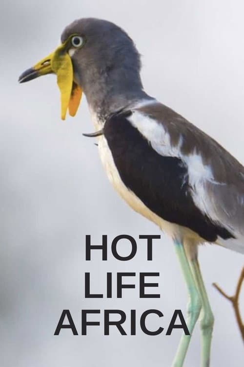 Hot Life Africa