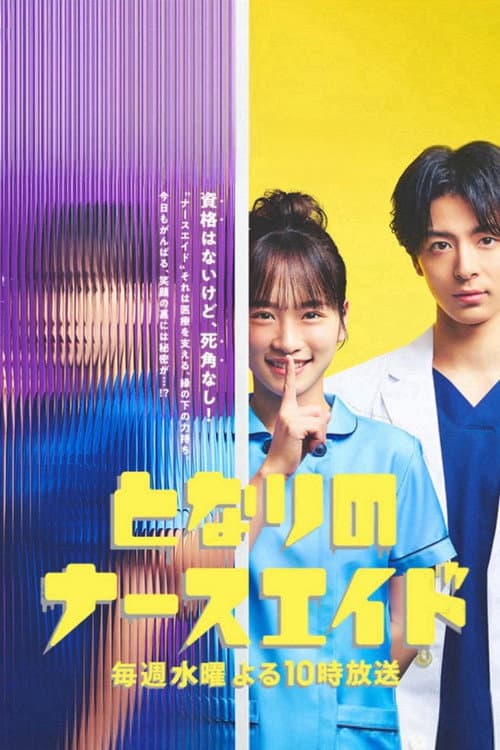 Nursing Aide at Your Side SP