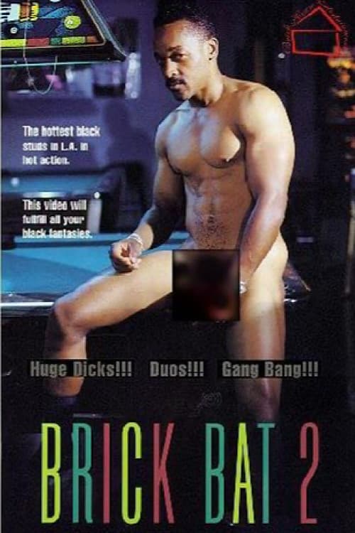 Brick Bat 2