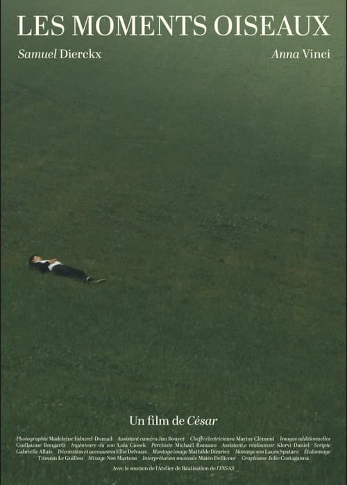 Les Moments Oiseaux
