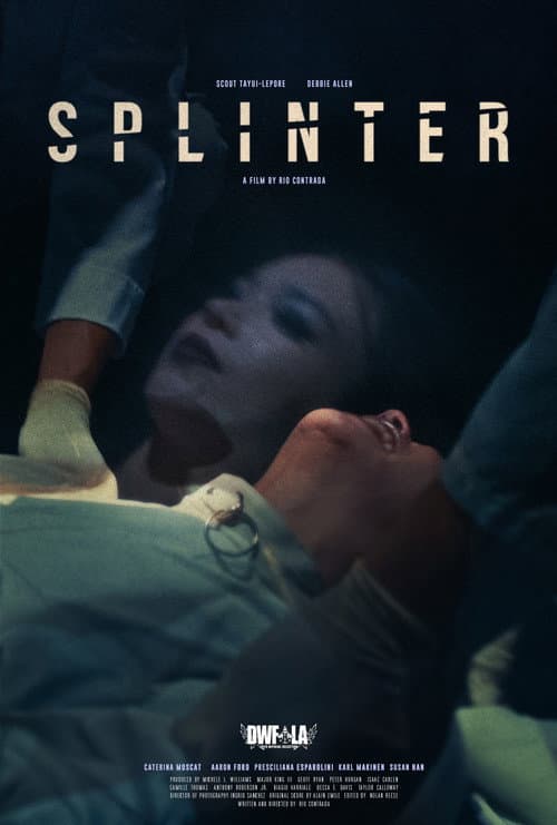 Splinter