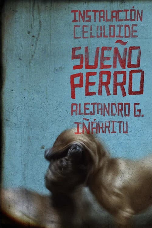 Sueño Perro