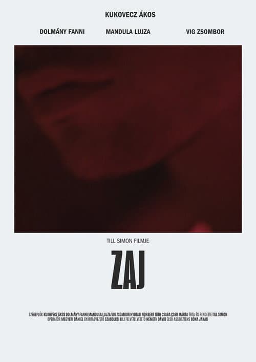 Zaj
