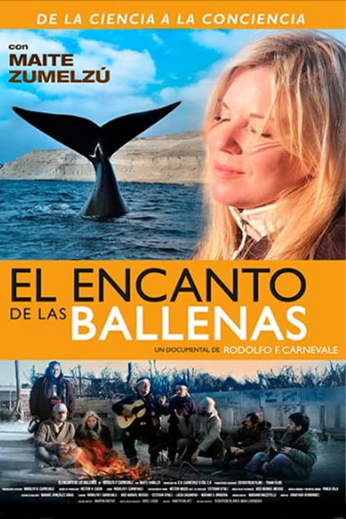 The Charm of Whales