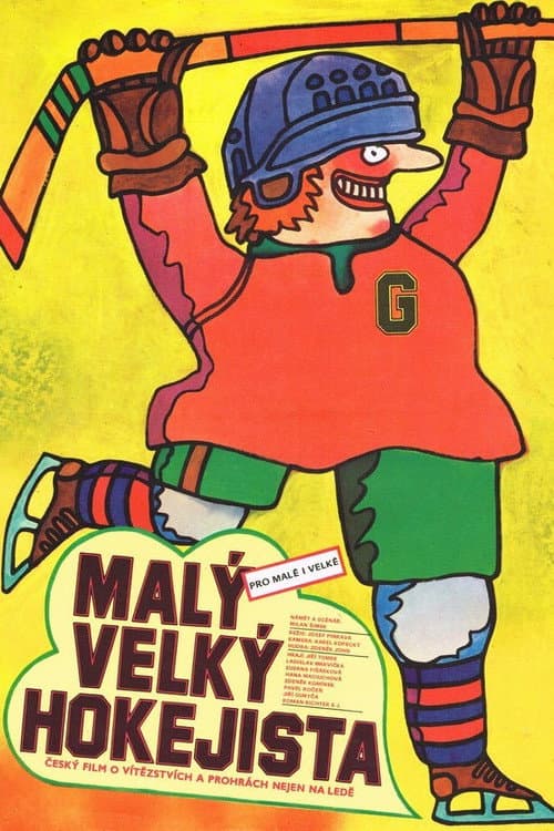 Little Big Hockey Player