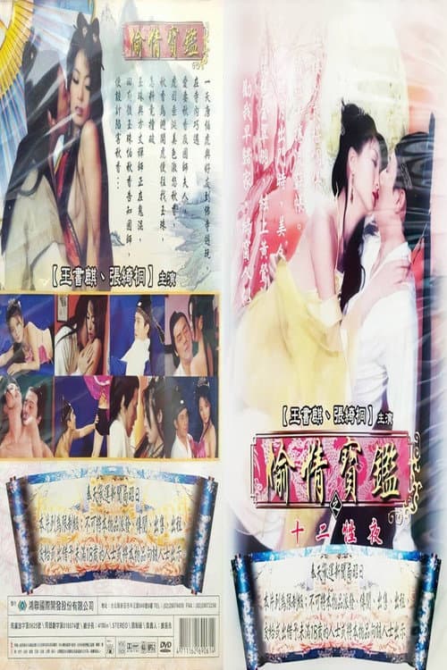 偷情宝鉴之十二性夜