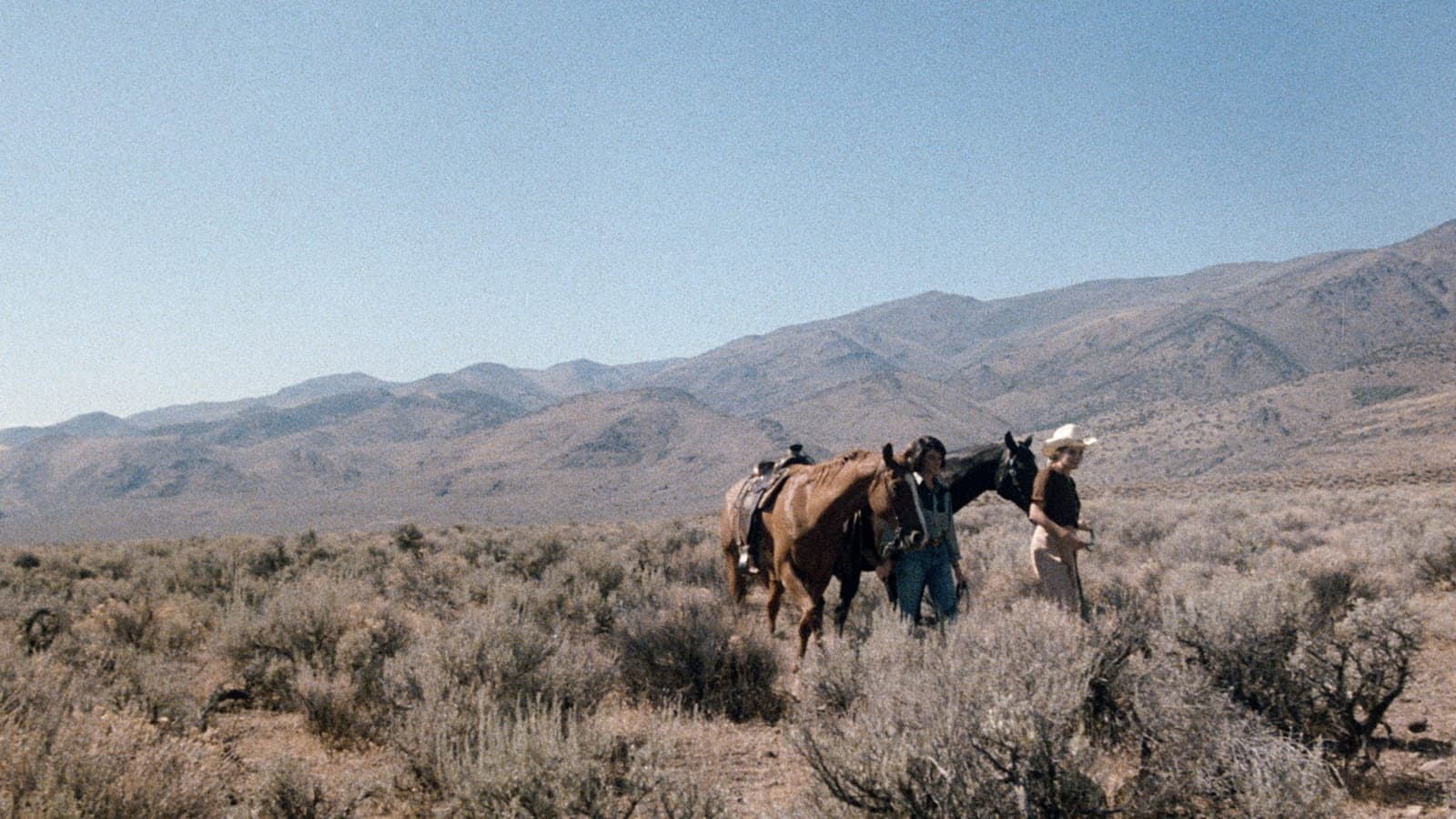 Women in Love: Desert Hearts