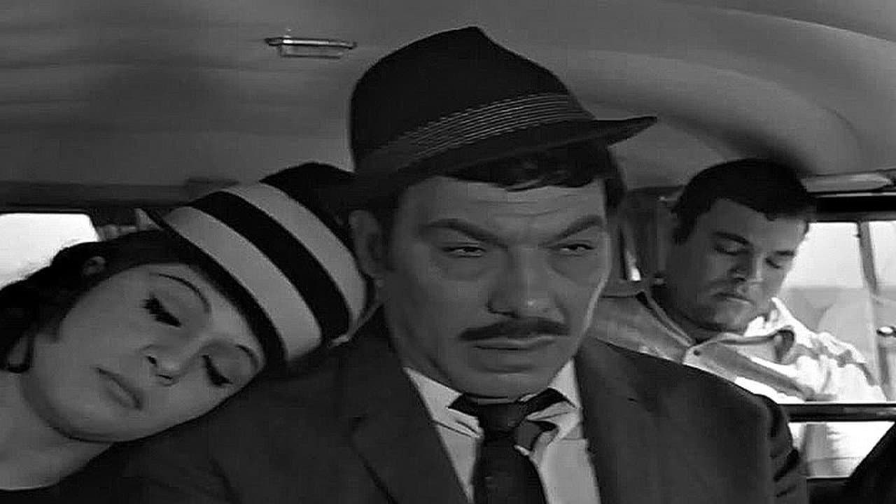 Ahmed Shawqi