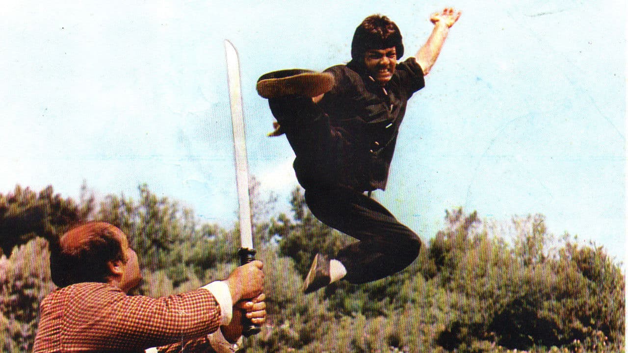 Nilgün Saraylı